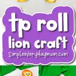 Lion toilet paper roll craft cover image