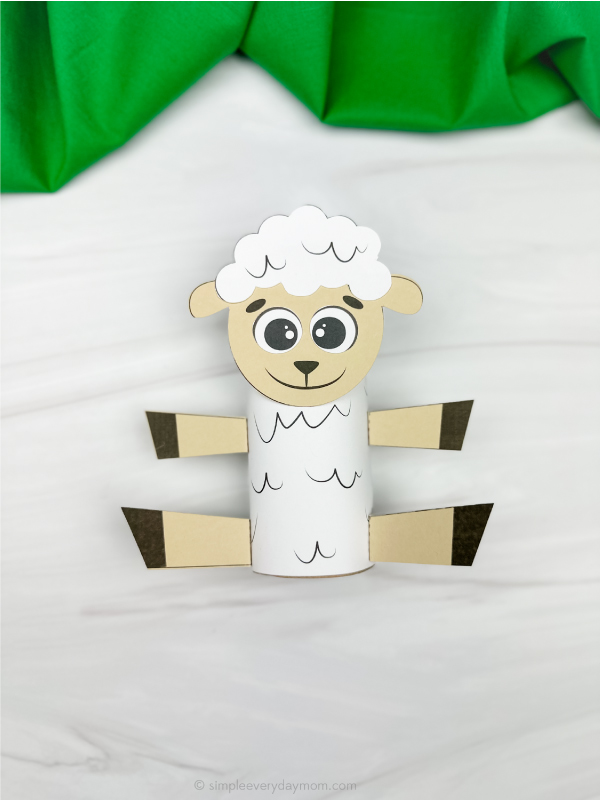 single example of finished sheep tp roll craft