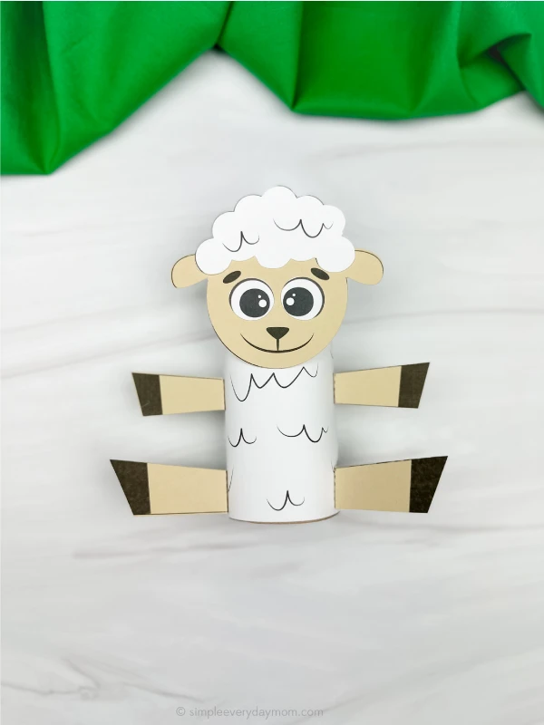 single example of finished sheep tp roll craft
