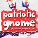 Patriotic gnome craft cover image