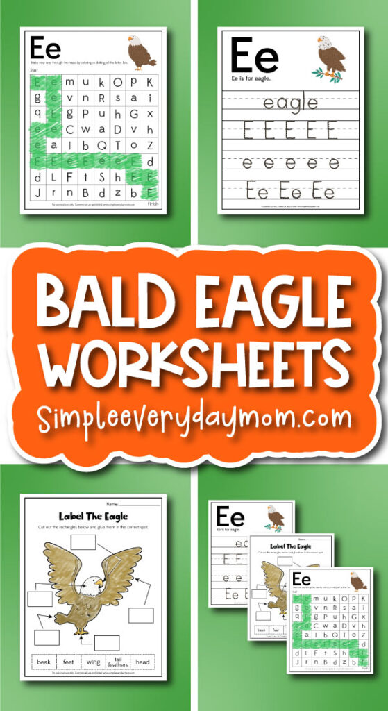 bald eagle worksheets image collage