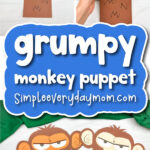 Grumpy monkey puppet craft cover image