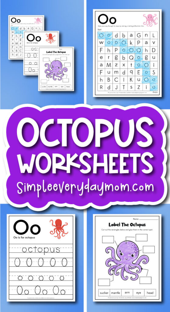 Octopus worksheets cover image