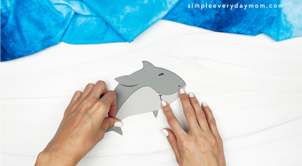 hands gluing pieces of shark body together