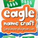 eagle name craft cover image