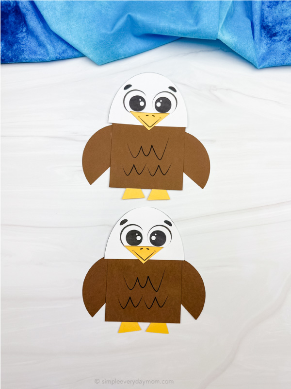 two examples of finished bald eagle shape craft
