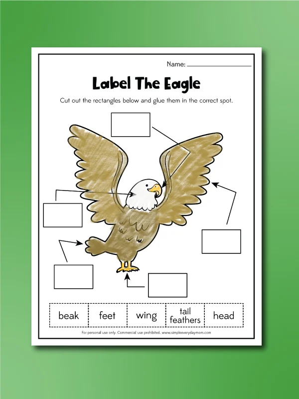 bald eagle worksheet label the eagle