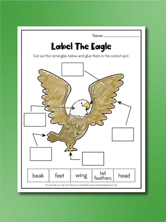 Bald Eagle Worksheets For Kids [Free Printables] Story
