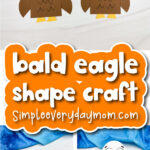 bald eagle shape craft cover image