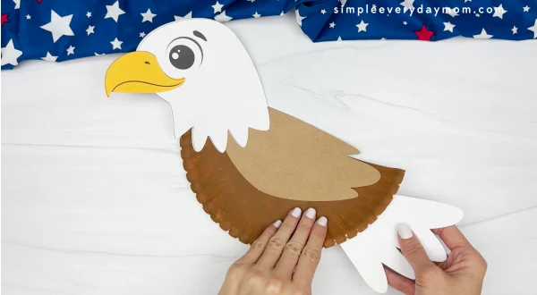 hands gluing tail feathers to eagle