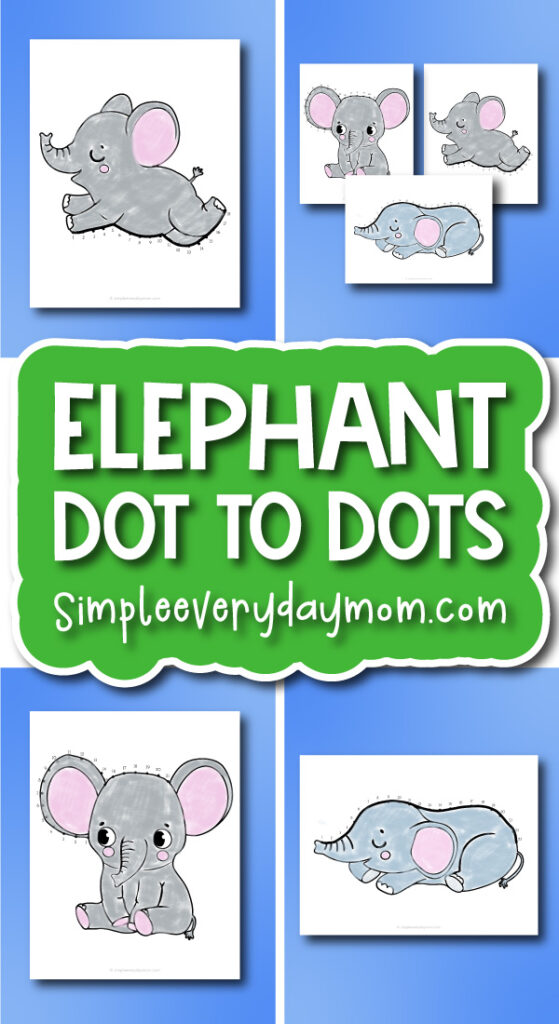 elephant dot to dots cover image