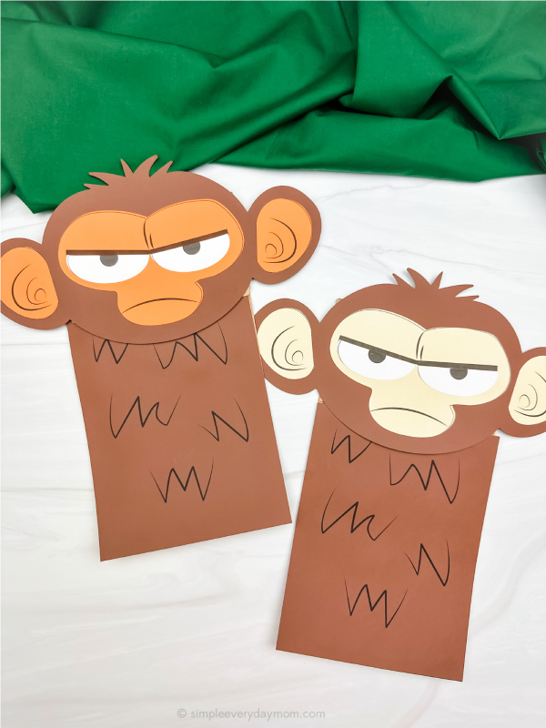 two side by side examples of monkey craft