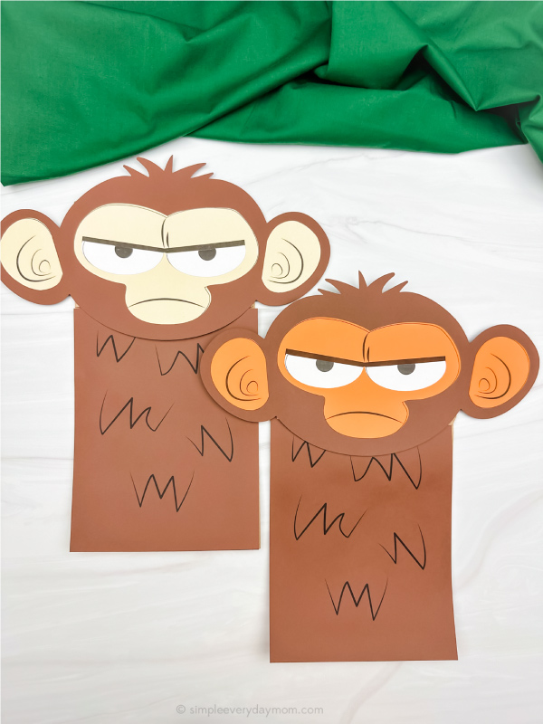 two examples of finished grumpy monkey craft