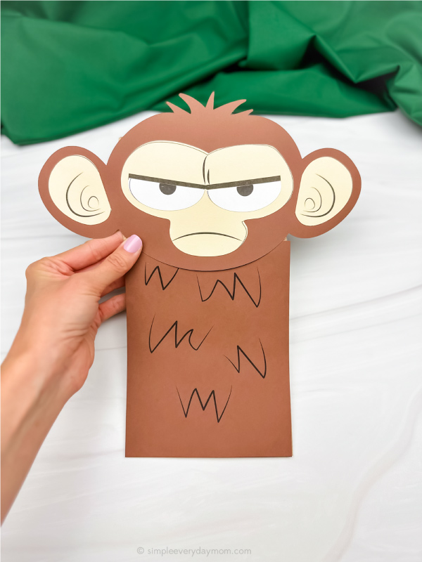 hand holding grumpy monkey craft