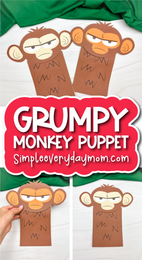 Grumpy monkey puppet craft cover image