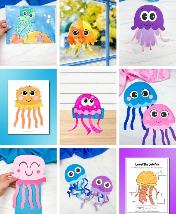 jellyfish feature image collage