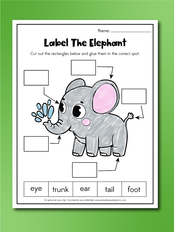label the elephant body parts