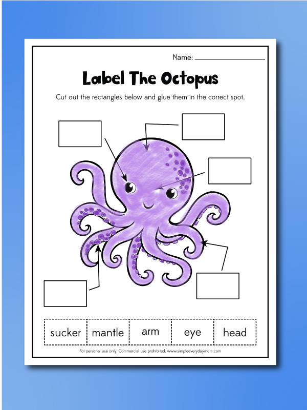 octopus worksheet label the octopus