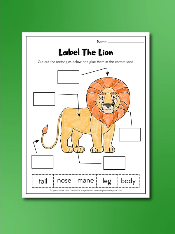lion worksheet label the lion