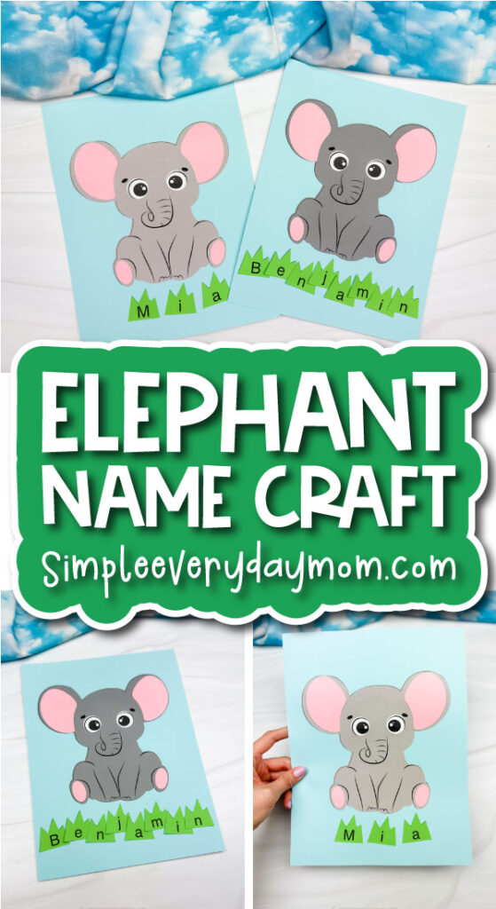 elephant name craft cover image