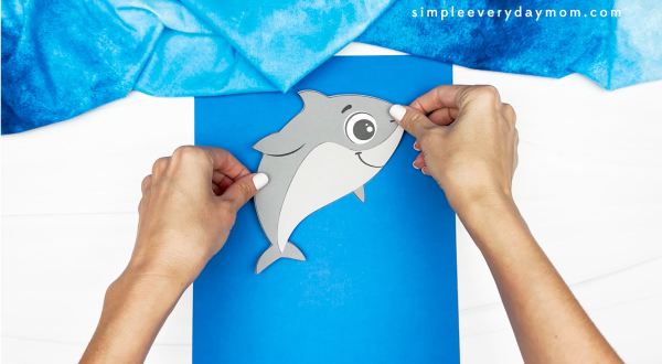 hands gluing shark to blue backdrop