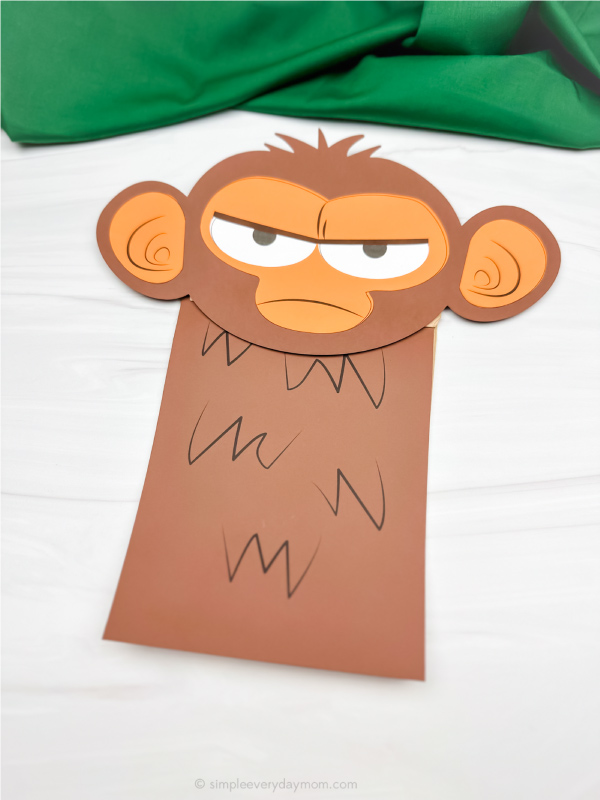 single example of finished grumpy monkey craft
