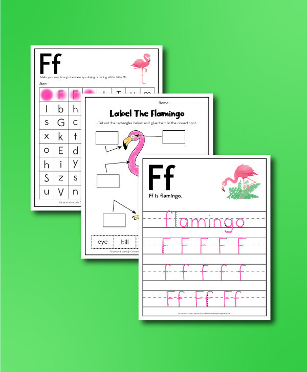 flamingo worksheets collage