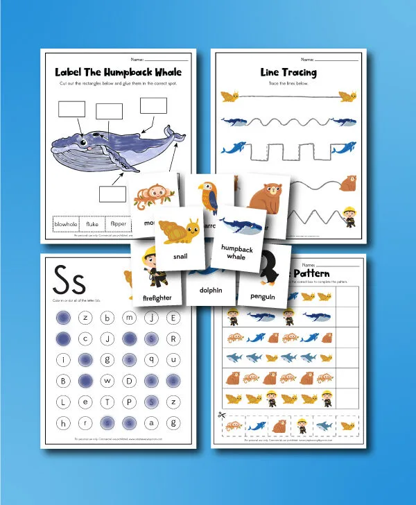 snail and the whale collage worksheets