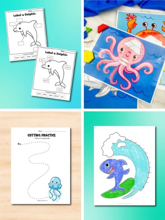 8 Awesome Ocean Themed Board Games For Kids