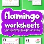 flamingo worksheets cover image