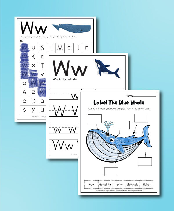 whale worksheets collage