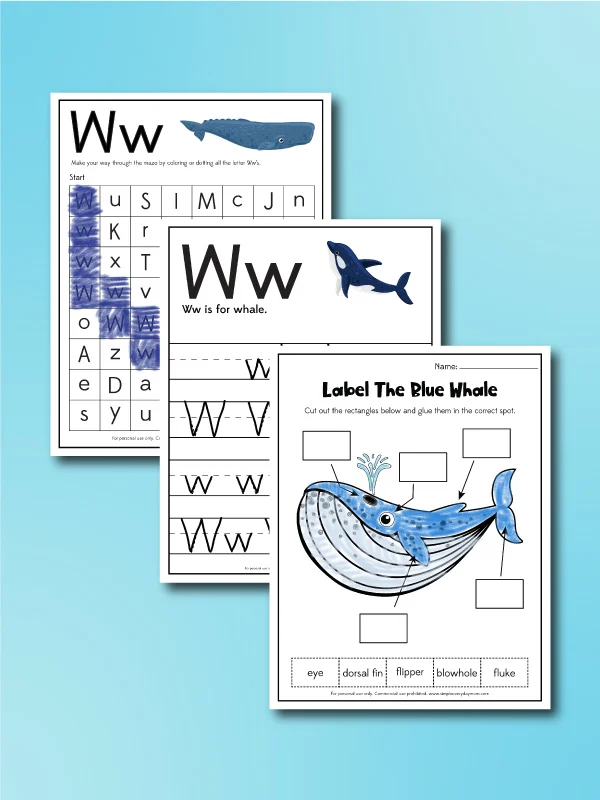 whale worksheets collage