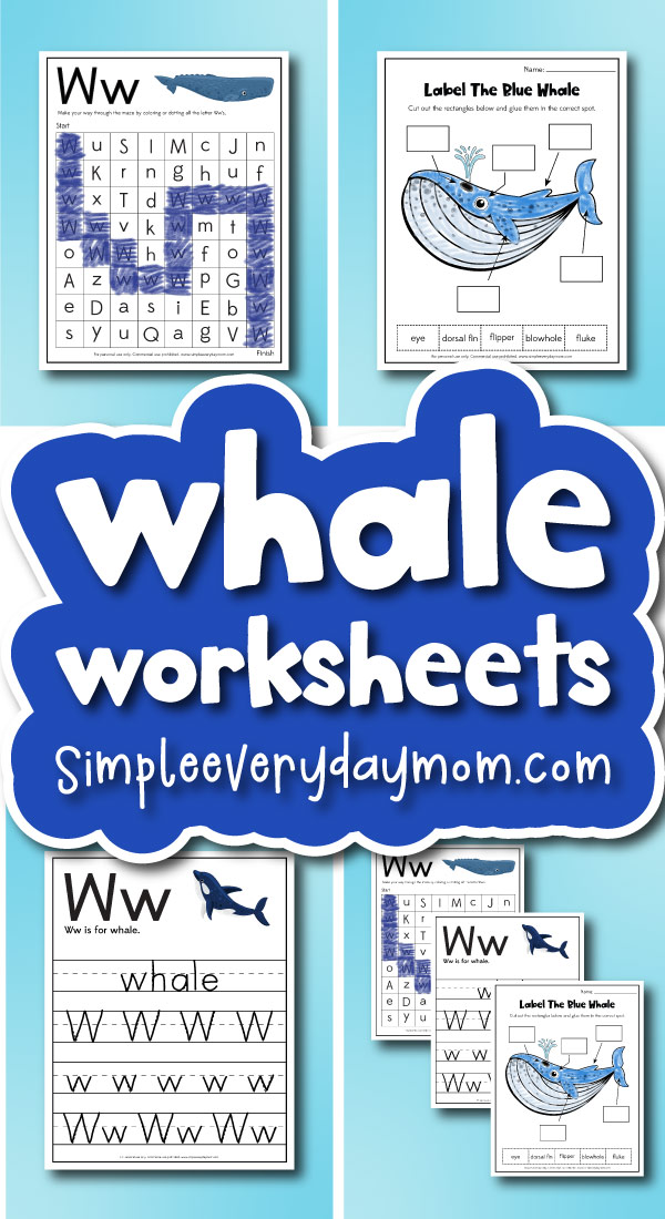 Whale Worksheets Whale Worksheets
