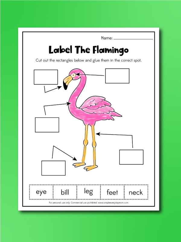 flamingo worksheets label the flamingo