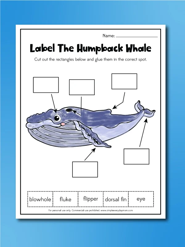 label a humpback whale image