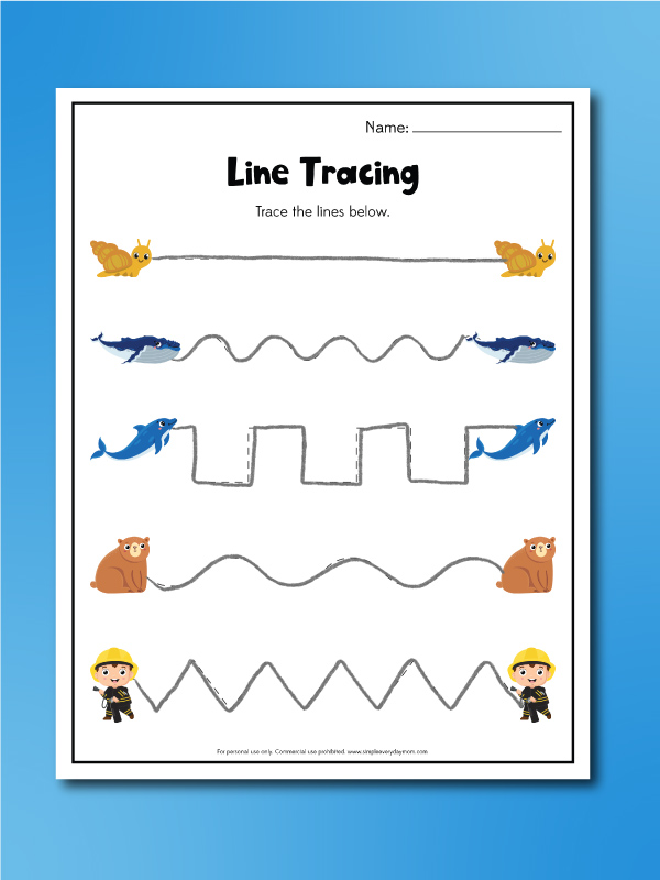 line tracing for snail and the whale
