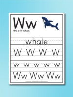 Whale Worksheets For Kids [Free Printables]