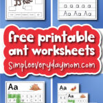 ant worksheets cover image