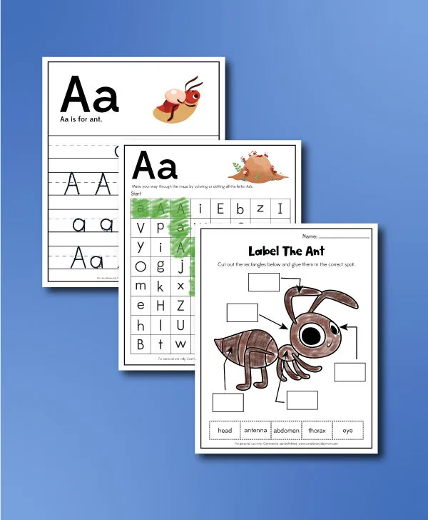 ant worksheets collage