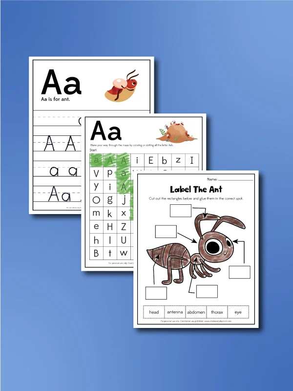 ant worksheets collage