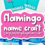 flamingo name craft cover image