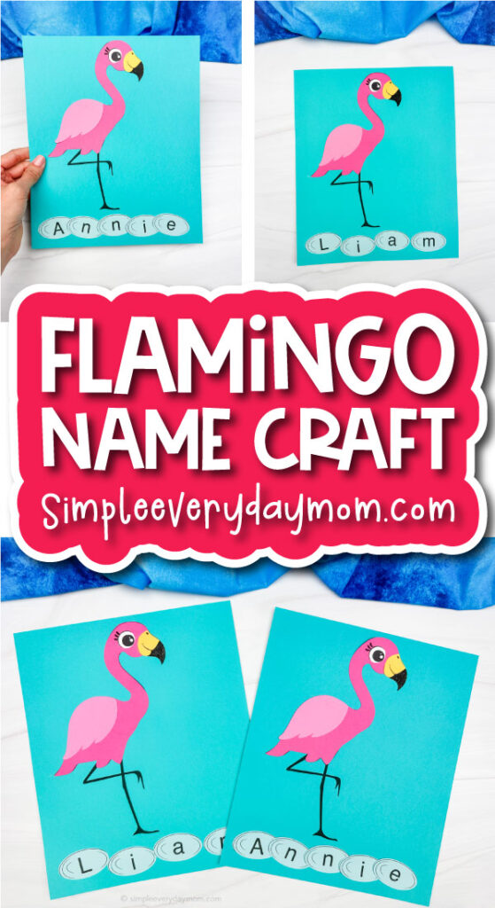 flamingo name craft cover image