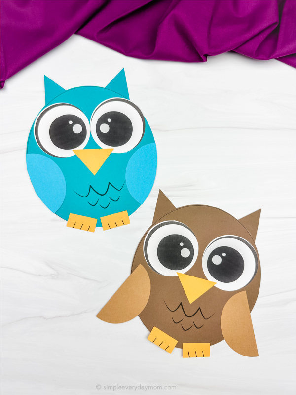 two examples of owl shape craft