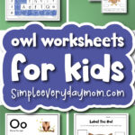owl worksheets cover image