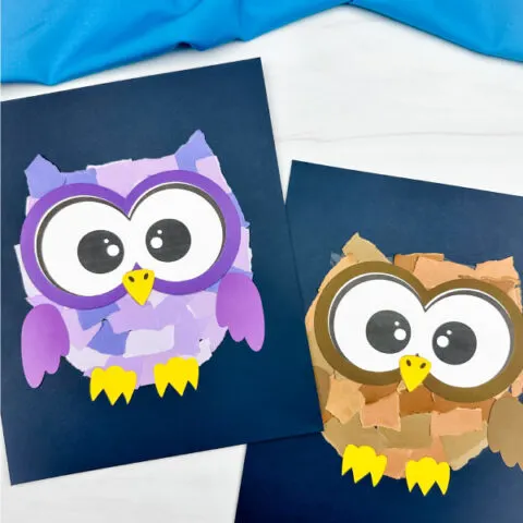 two side by side examples of torn paper owl craft