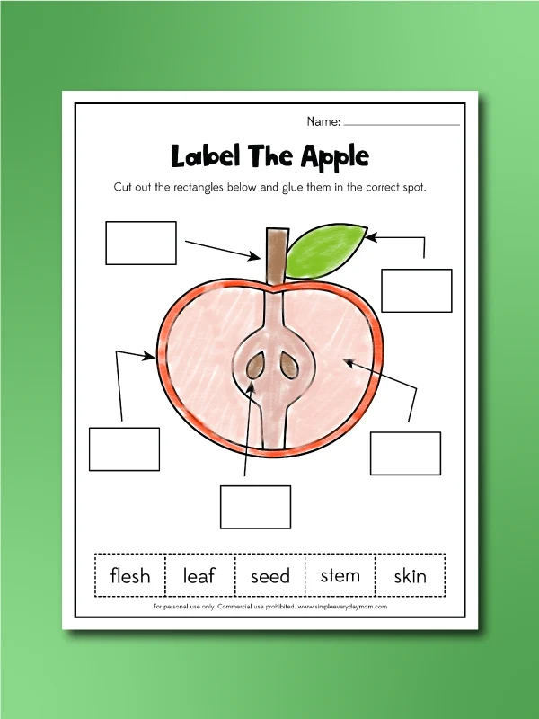 apple worksheets label the apple