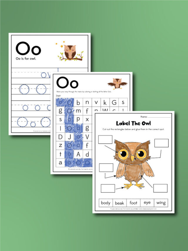Owl Worksheets For Kids [Free Printables] Story