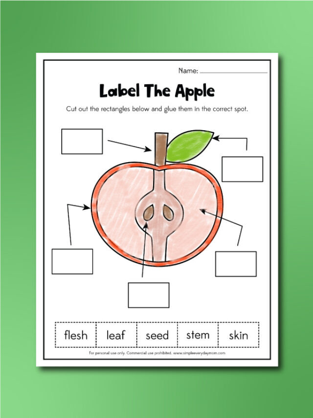 Free Printable Apple Worksheets For Kids Story