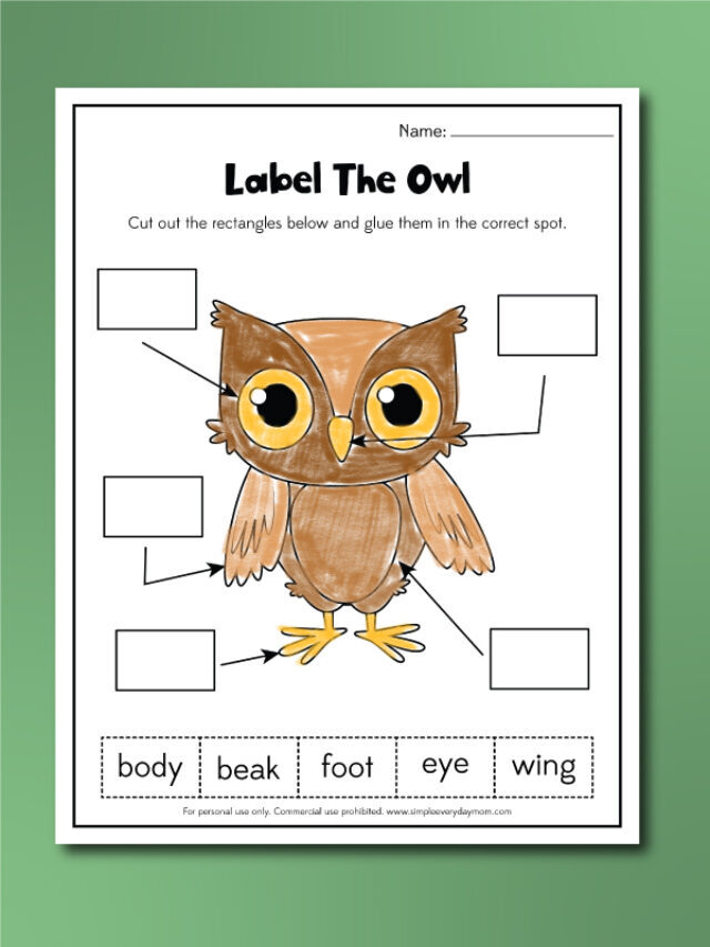 Owl Worksheets For Kids [Free Printables] Story