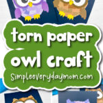torn paper owl craft cover image
